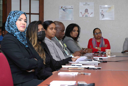 Members of the Criminal Justice Unit at the NiNA Project Seminar to discuss the transitioning of young girls in State care